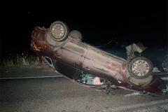 Девушка-водитель наехала на лошадь на автодороге в Кетовском МО