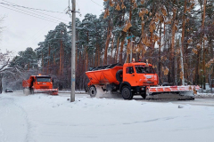 Жителей частных домов в Шадринске призвали не загораживать автомобилями тротуары