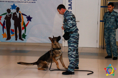 Шадринские полицейские рассказали школьникам о работе кинологов