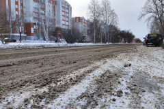 Снег и реагенты на дорогах: Шадринцы жалуются на несвоевременную уборку улиц и общественных пространств