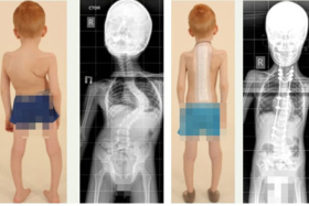 13-������ �������������� �������� �� ����� ����� ����� ������ ����� ������� � ������ ���������