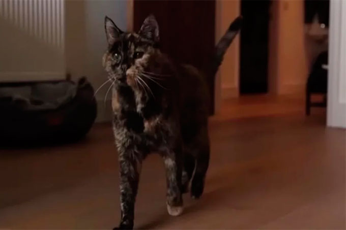 30 ��� ����������� ����� ������ � ���� ����� ������