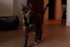 30 ��� ����������� ����� ������ � ���� ����� ������