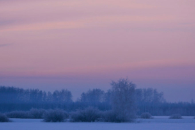 �������� ���������: 3 ������ - ��������� ����