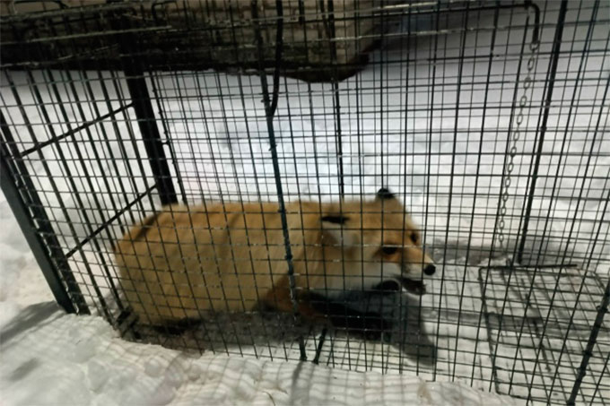 ����� ���� ��������� �� ���������� ����� �� ���� ���������