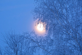 �������� ���������: 6 ������ - �������������� ���������