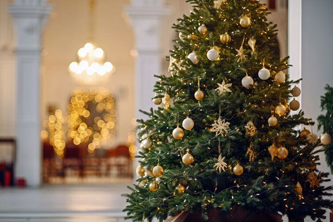 174 ���� ����� � ������ ���� ������� �������� ������������ �������������� ����