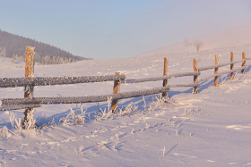 �������� ���������: 16 ������ - ������� ����