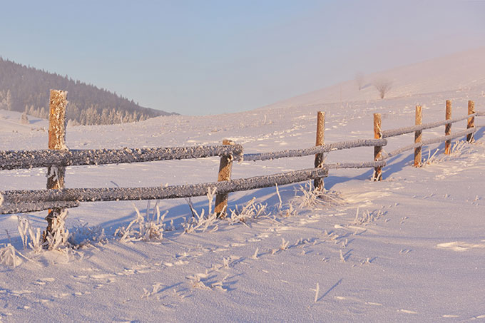 �������� ���������: 16 ������ - ������� ����