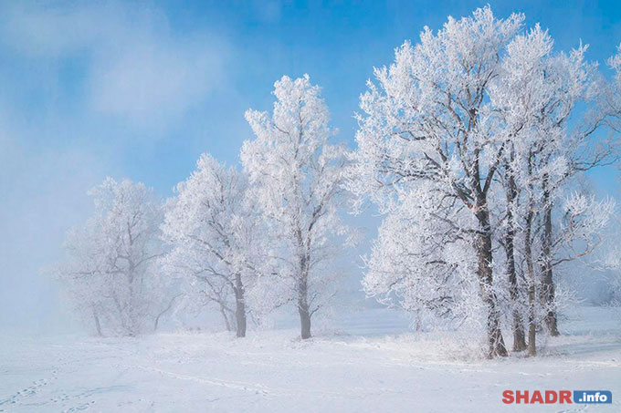 � �������� ������������ ������