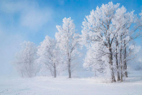 � �������� ������������ ������