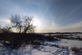 ������� �� ������� ����������� ������� ����� ���������� �� -40