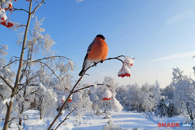 22 ������ � �������� ����