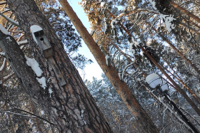 � �������� ������ ������������ ����������