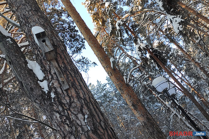 � �������� ������ ������������ ����������