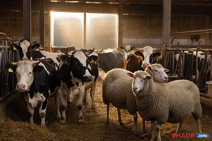 �� ��������� ��������� 27 ������ � ����� ����