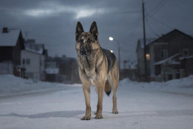 �� ����� � ���������� ��������� �������� � ��������� ��������� 1 ���. ������