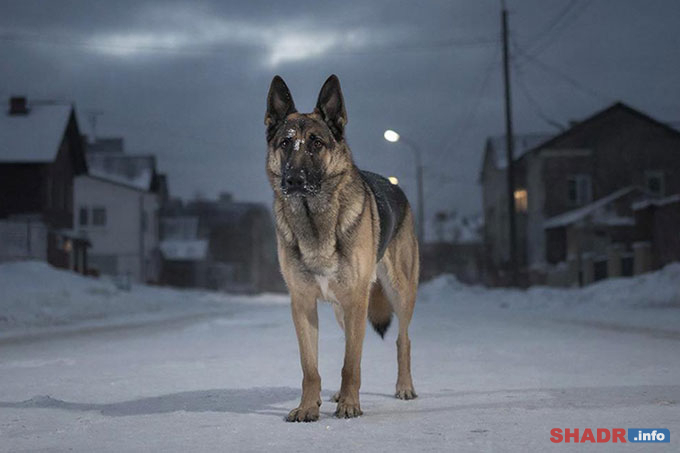 �� ����� � ���������� ��������� �������� � ��������� ��������� 1 ���. ������