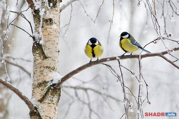 30 ������ � �����-����������