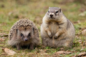 2 ������� � ���� ���