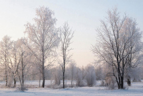 7 ������� � ��������� ����