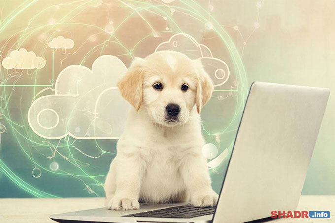 10 ������� � ������������� ���� ����������� ���������