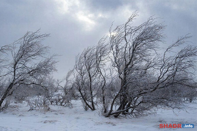 11 ������� � ���������� ����: �������� �������� � �������