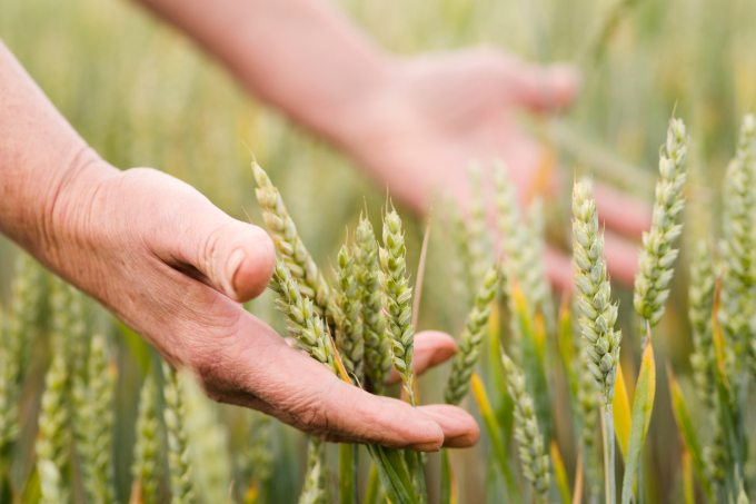 ��������� �� ������: � ���������� ������� � 2025 ���� �� ����� ��� 20% ����� ����� ��������� ������������ ��������