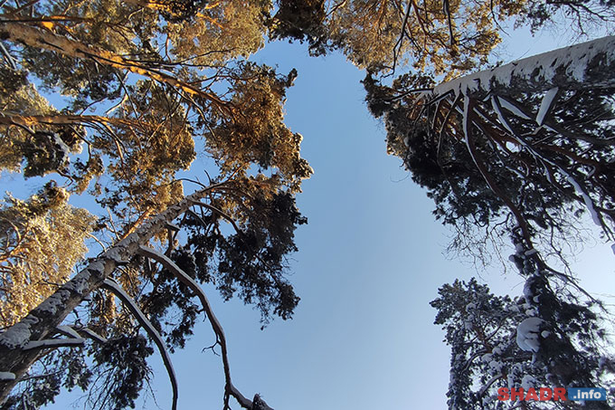 � �������� ����� � ��� �������