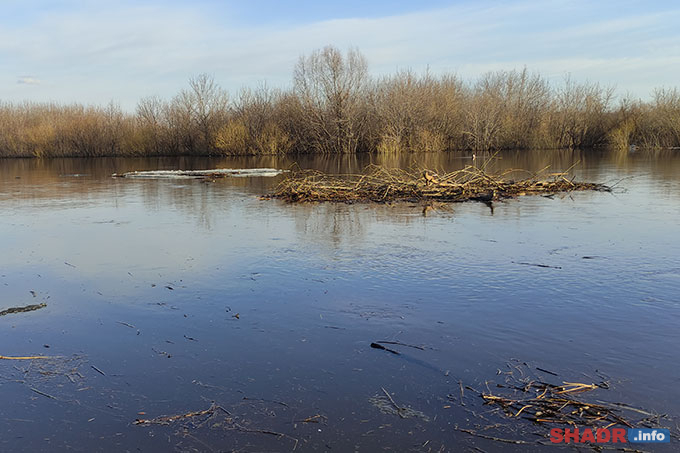 � ���������� ������� ������� ��������� � ��������� �������