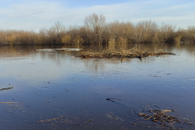 � ���������� ������� ������� ��������� � ��������� �������