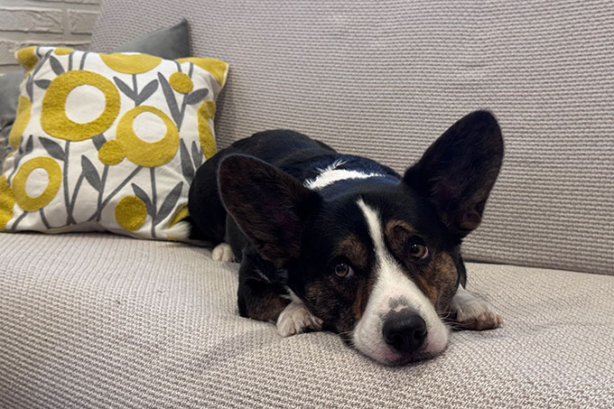 ����� ������ ������: ��� ����� ������ ������� �������� ������������ �����