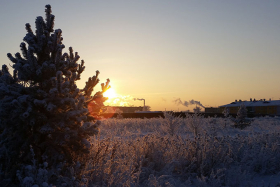 ������ ����� �����������: � ������� ��������� �� -27 ��������