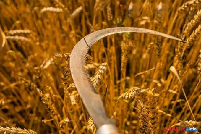 �������� ���� (����� ����������): �������� �������� 21 �������