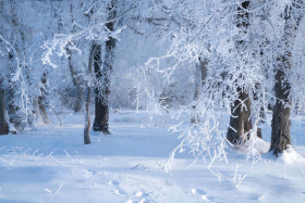 � ������� ����������� �������� ������