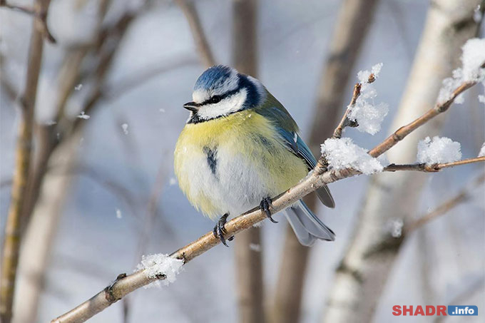 27 ������� � ������ ������������: ������� � �������� ���