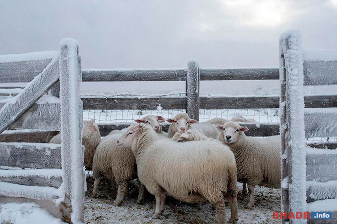 28 ������� � ������-��������: �������� � �������