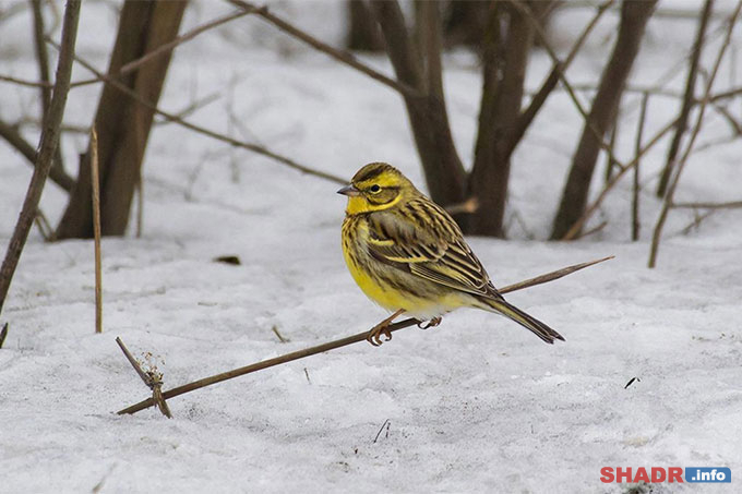 3 ����� � ��������, ������ � ��������, ������ � �������: �������� ��������� ���������