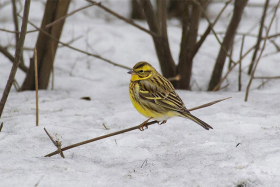 3 ����� � ��������, ������ � ��������, ������ � �������: �������� ��������� ���������