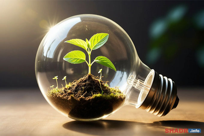 5 ����� � ��������� ���� �������������������: ������ �������, ������� �������� �� �������