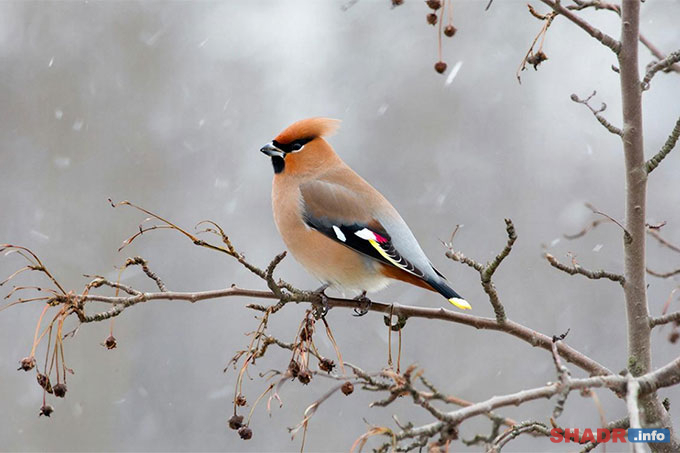 7 ����� � ��������� ����: �������� � ������� ��������� ���������