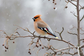 7 ����� � ��������� ����: �������� � ������� ��������� ���������