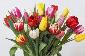 7 ����� � ���� ���������. ��� ������� ����?