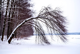 ��������� ��������� ��������������: ��������� ������� �����