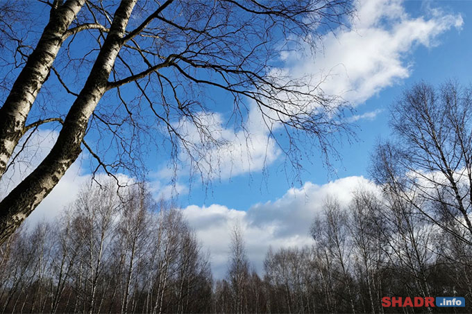 15 ����� � ����� ��������: �������� �������� � ������� ���