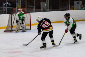 ��������� ���� �������������� ����� ������������ ������ ������ �. �. �������