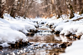 23 ����� - ���� �������� - ������ ���� �������������: �������� � ������� ��������� ���������