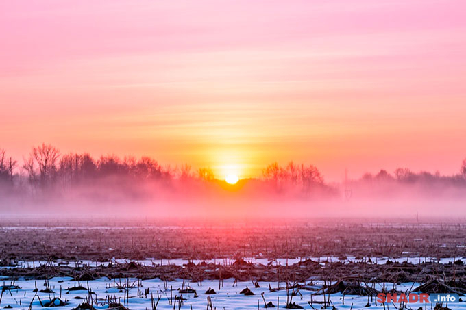 24 ����� � ������ ����: �������� � ������� ��������� ���������