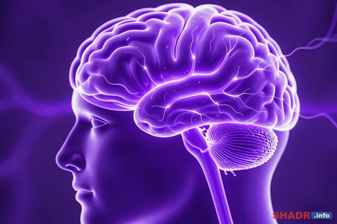 ���������� ����: 26 ����� � ���� ������� ����������