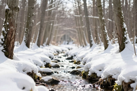 ����������� ���� (������ ��������): �������� ������� � �������� �� 28 ����� 2026 ����